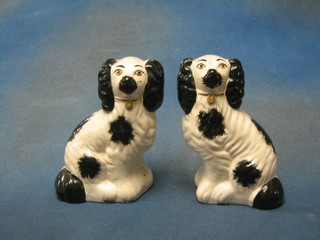 A pair of Staffordshire figures of black and white seated Spaniels 7"