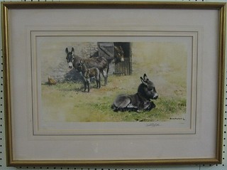 A David Shepherd limited edition coloured print "Seated Donkeys" signed in the margin with blind proof stamp 117/851 9" x 15"