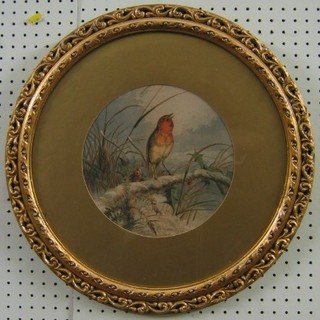 After Harrison Wire, a coloured print "Seated Robin" 9" circular contained in an oval gilt frame