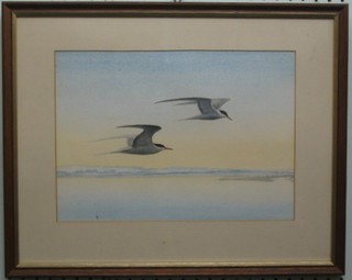 Michael Hampton, watercolour "Two Flying Seagulls" monogrammed 10" x 13"