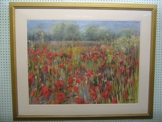 Tony Brummell Smith, pastel "Poppies in Tuscany" 23" x 31" signed the reverse with Bourne Gallery label