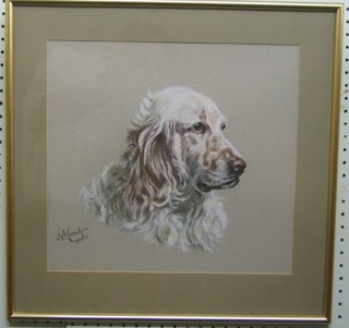 U A Crocker, pair of pastels, head and shoulders portraits "English Setter and Golden Retriever" 13" x 14" signed and dated 1980 and 1985 