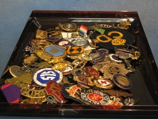 A collection of approx 60 enamelled and other badges