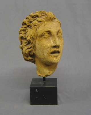A carved stone head on stand 10"