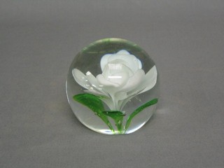 A circular glass paperweight decorated a white flower head 3"