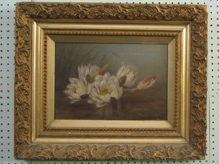 A 19th Century oil on board "Study of a Water Lily" 9" x 13", indistinctly signed and contained in a decorative gilt frame