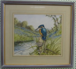 I Bownes, watercolour drawing "Kingfisher by a Stream" 12" x 14" 