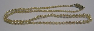 A rope of seed pearls 18"