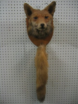 A stuffed and mounted fox mask complete with brush