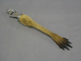 A Kangaroo paw mounted as a bottle opener