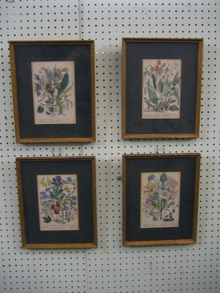 A set of 4 19th Century botanical prints 7" x 5"