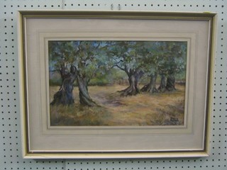 Sheila Tyose, watercolour drawing "Study of Trees" 10" x 15"
