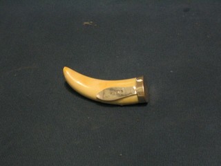 A section of ivory tusk on a silver mount 10"