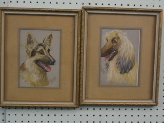 C Williams, a pair of watercolour drawings "Alsatian and Afghan Hound" 6" x 4"