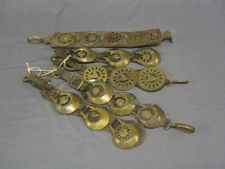 5 leather martingales hung horse brasses