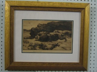 Herbert Dicksee, signed etchings "Prowling Lion and Lioness"  6" x 10"