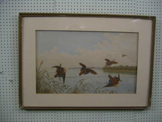 Neville W Cayley, watercolour "Flying Ducks Under Fire" 15" x 24"