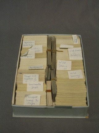 A large collection of Brook Bond tea cards