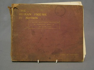 1 vol "Edward Mybridge The Human Figure in Motion"