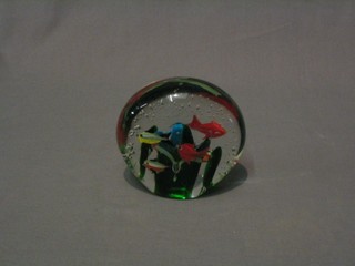 An aquarium style glass paperweight with fish, 4" oval