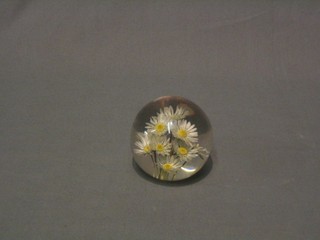 A glass paperweight set a daisy
