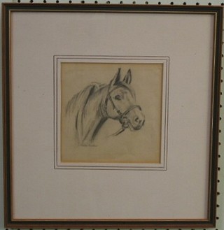 Julie Barker, pencil drawing "Head and Shoulders Portrait of a Horse" 6" x 6"