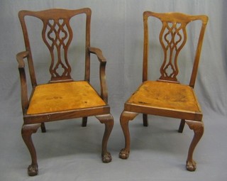 10 Chippendale style mahogany dining chairs (2 carvers, 8 standard)