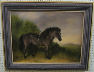 19th Century oil on canvas "Standing Black Pony in Moorland Landscape" 22" x 30" (some paint loss to the front, re-lined)