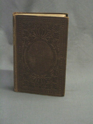 Charles  Dickens, "Great Expectations", second edition 1862, published by Chapman & Hall