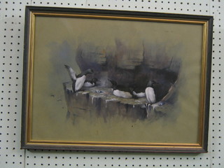 E J A Moore, watercolour "Birds on a Rocky Outcrop" signed and dated 1910 13" x 18"