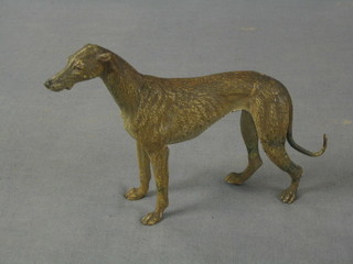 An Austrian cold painted bronze figure of a standing grey hound 15"