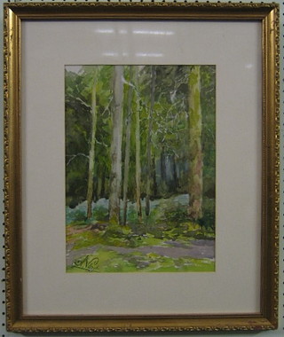 H Steggles, 20th Century watercolour, "Woodland Scene" 13" x 10"