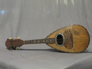 A Giuseppe Gandolfi mandolin complete with carrying case