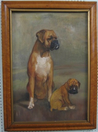 A 19th Century oil painting on board "Two Seated Boxer Dogs" 26" x 18" contained in a maple frame