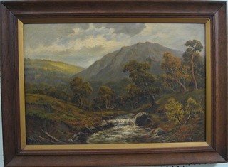 Victorian oil painting on canvas "Mountain Torrent with Trees" 15" x 23" contained in an oak frame