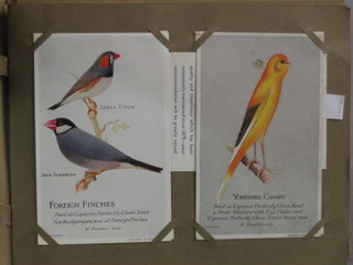 An album of Capperns Caged Birds with introduction cards cigarette cards