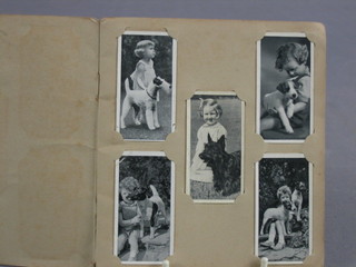A Wills cigarette card album containing various Carreras cigarette cards Dogs and Friends and an album of Wills Gardening Hints (2)