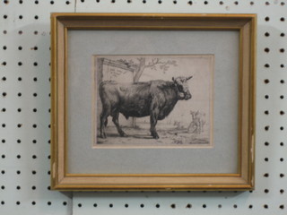 An 18th Century engraving study of a "Standing Bull" 4" x 6"