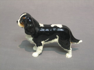 A Beswick figure of a standing black and white Spaniel, the base marked 11, 5"