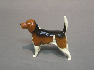 A Beswick figure of Champion Beagle - C H Wendover Billy 5"