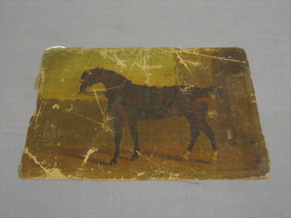 An 18th/19th Century oil on canvas "Study of a Standing Horse" 9" x 12 1/2" (heavily damaged) no mount or stretchers