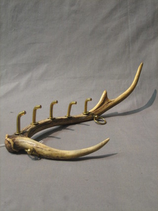 A coat hook formed form a stag's horn