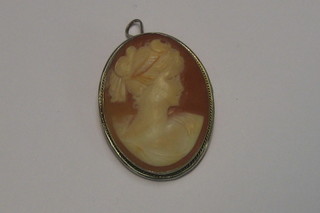 A shell carved cameo brooch/pendant in the form of a lady's head 
