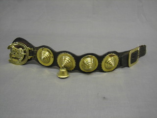 A leather Martingale hung horse brasses