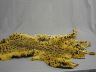 2 Egyptian spotted fur pelts (Survels?)