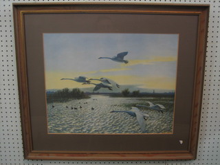 After Peter Scott, a coloured print, swans flying "Whoopers"      the reverse with Tryon Gallery label 16" x 20"