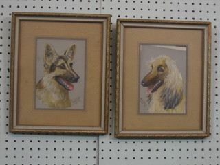 Chris Williams, a pair of watercolours, head and shoulders portraits "Afghan Hound and an Alsatian" signed and dated '71 and '74 6" x 5"