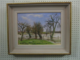 Moira Meelboom, oil on canvas "Berkshire Floods" also with Mall Gallery label 11" x 15"