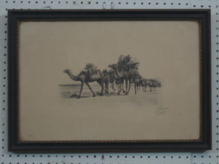 An early black and white photograph of a camel train 12" x 17"