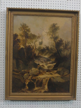 A 19th Century oil on canvas "Study of a Torrent" 33" x 17"